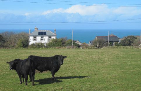 Boswednack Manor B&B bed and breakfast & self catering cottage st Ives stone circle Cornwall