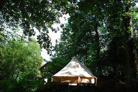 Woodland Retreat Isle of Wight