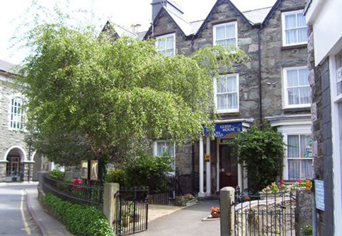 Ivy Guest House Dolellau Gwynedd wales B&B Vegetarian options